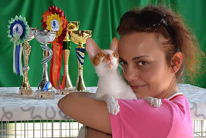 WCF izložba mačaka u Radomu 2015.