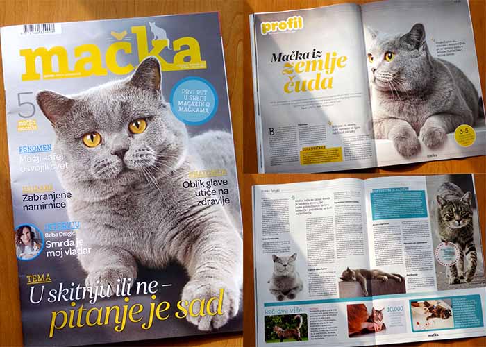 Le PETit i specijalizovani časopis Mačka<br />
