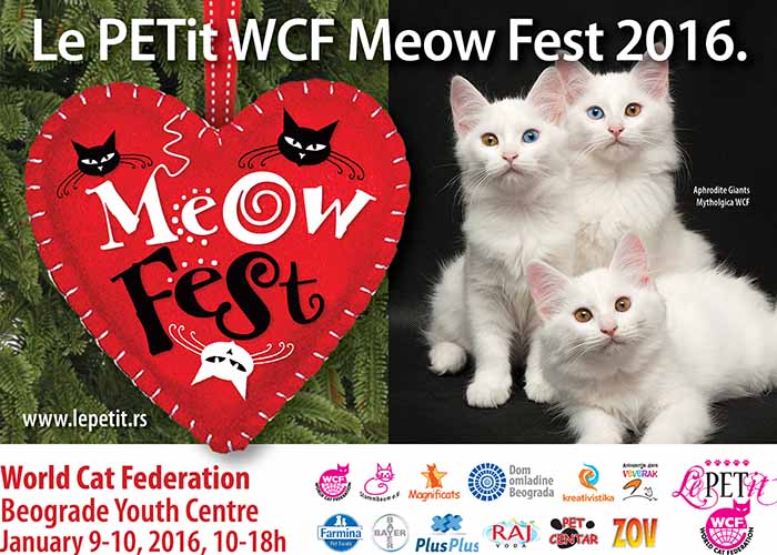 Meow fest poster
