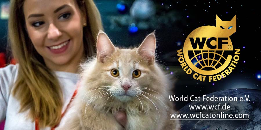 World Cat Federation banner
